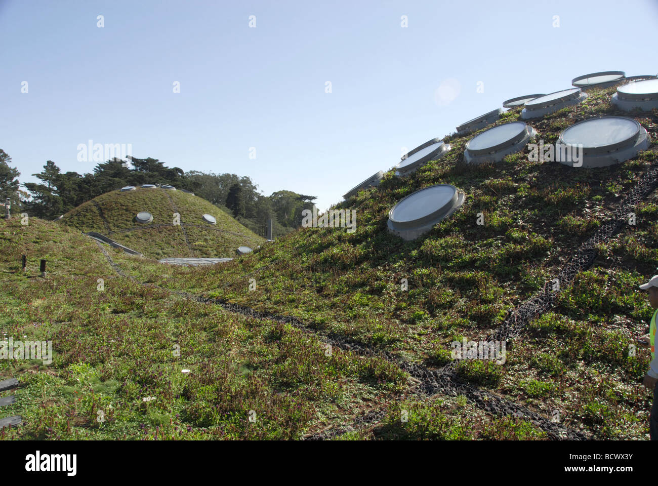California Academy of Sciences in Golden Gate Park, San Francisco, California, USA Stock Photo