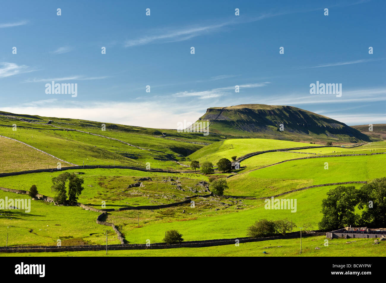 Pen-y-Ghent one of Yorkshire's Three Peaks on a sunny summer's evening Stock Photo