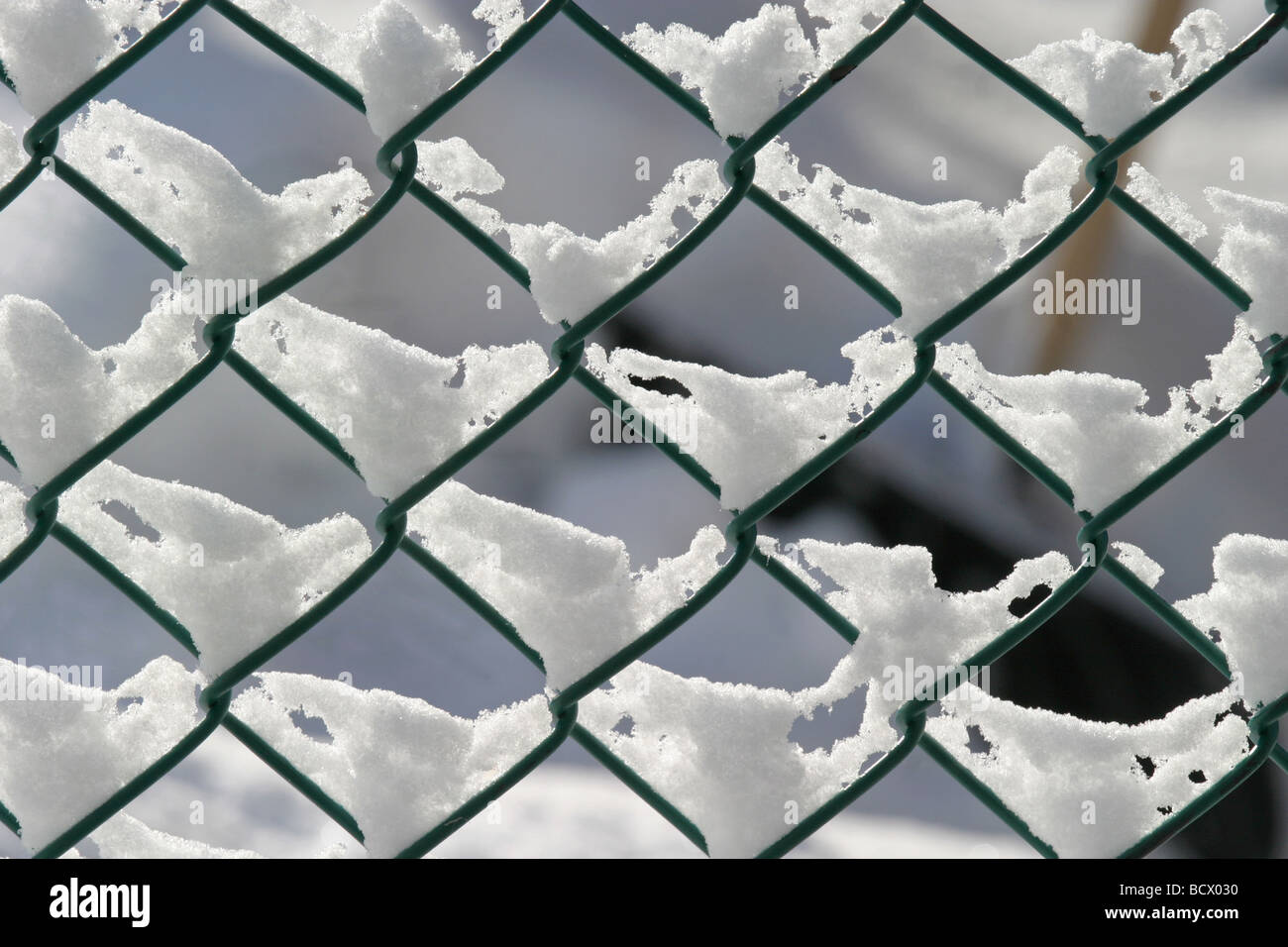 snow resting on diamond shaped fence links Stock Photo