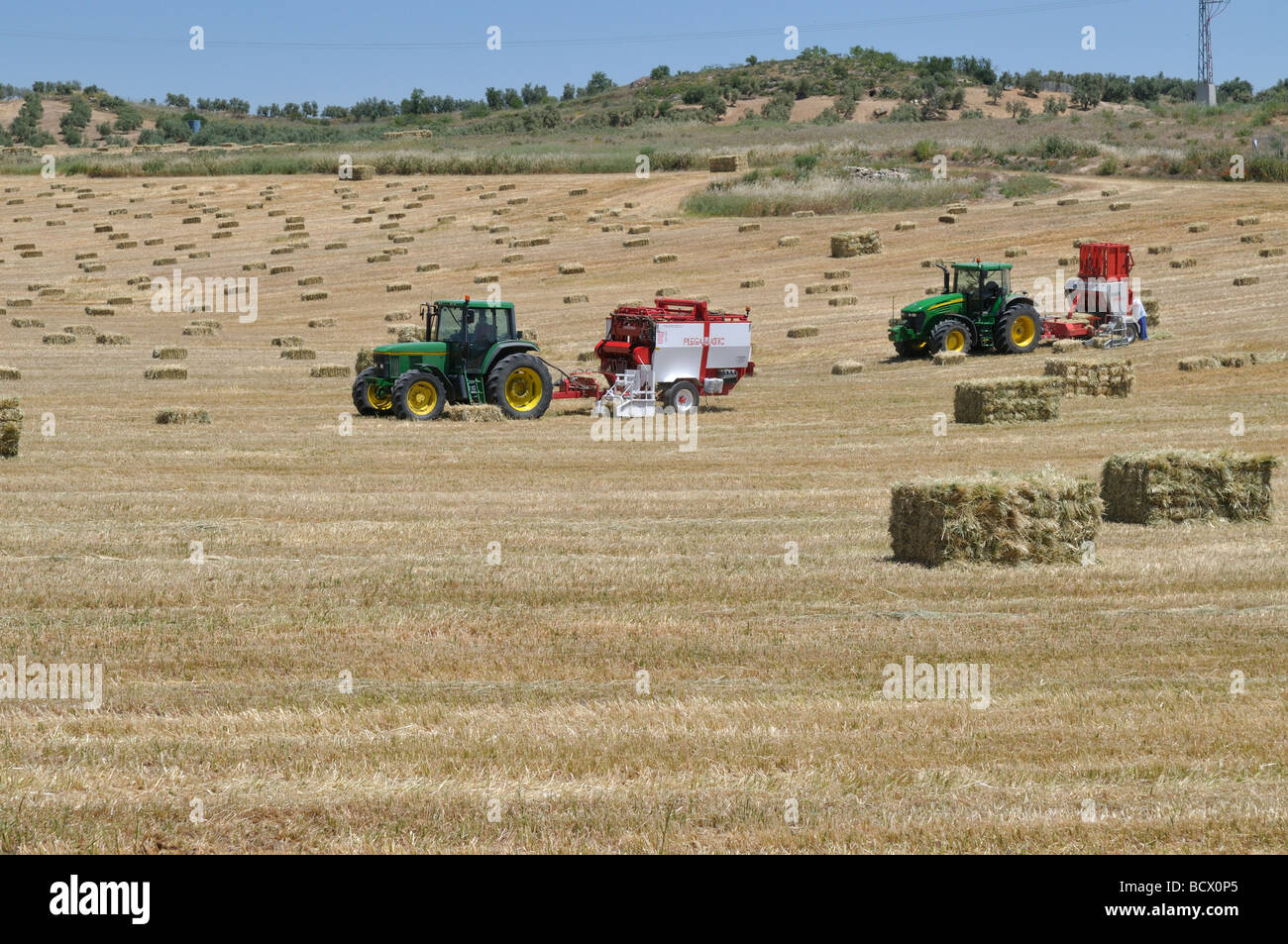 Tractors in field of straw baling small straw bales into larger ones at harvest time Stock Photo