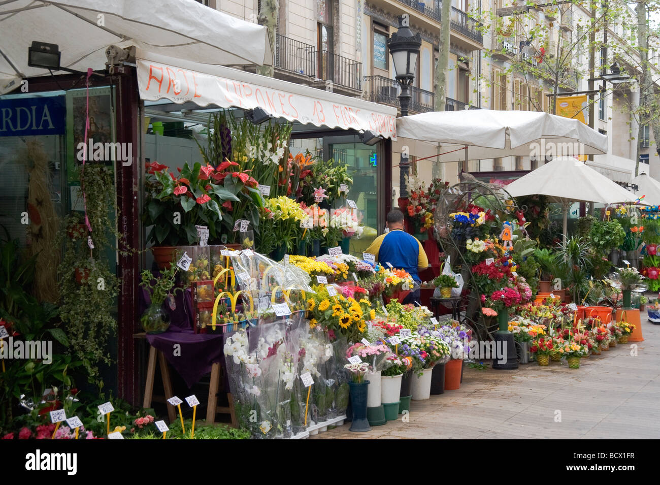 Las Ramblas Flower market Barcelona Catalonia Spain Stock Photo Alamy