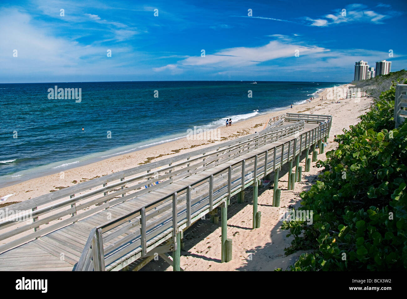 Get Imagenes de palm beach For Android Free