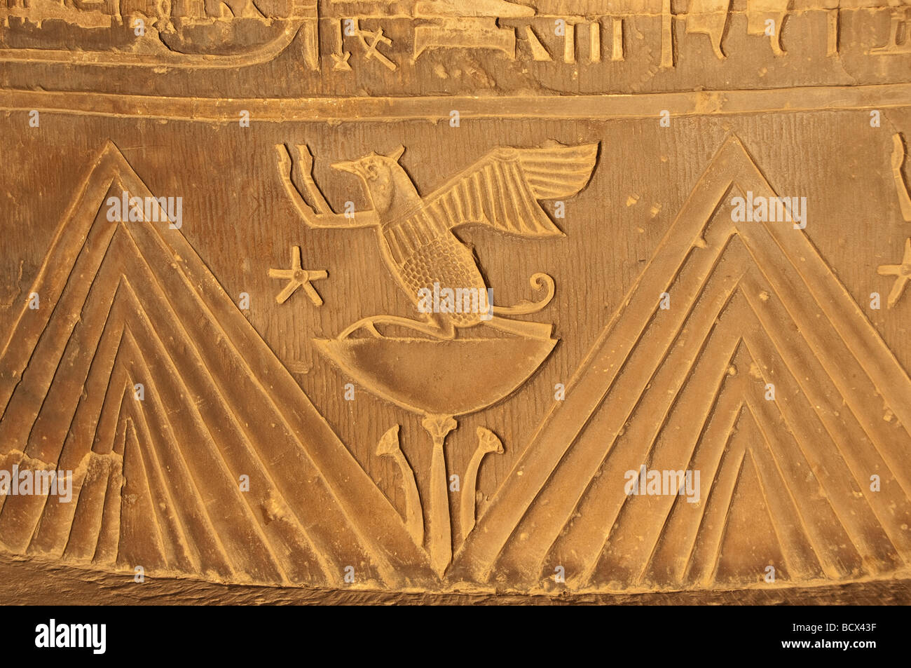 Egypt Kom Ombo temple wall carving reliefs lotus stars animal hieroglphs hieroglyphics Stock Photo