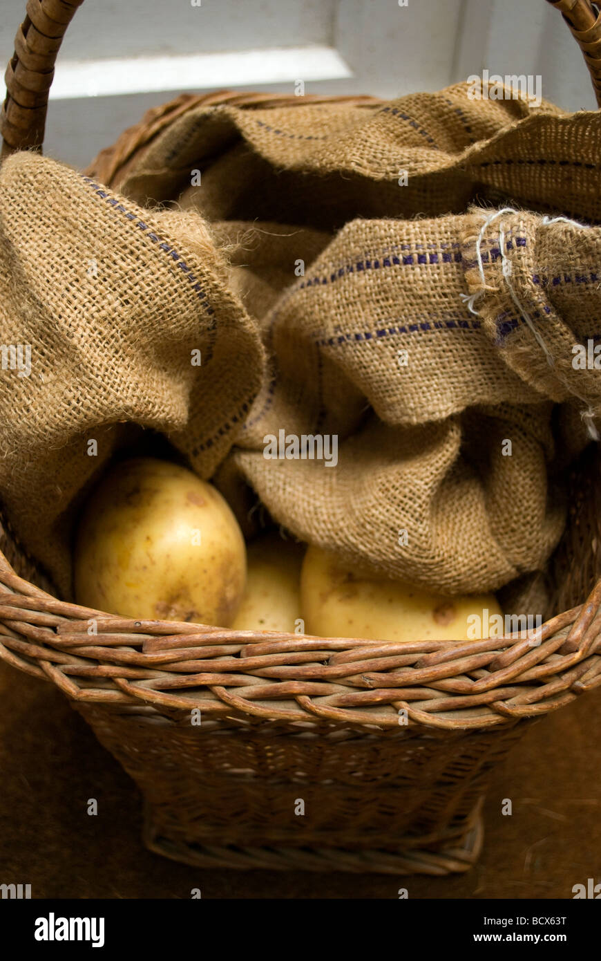 Potatoes being kept in hessian in a basket. Stock Photo