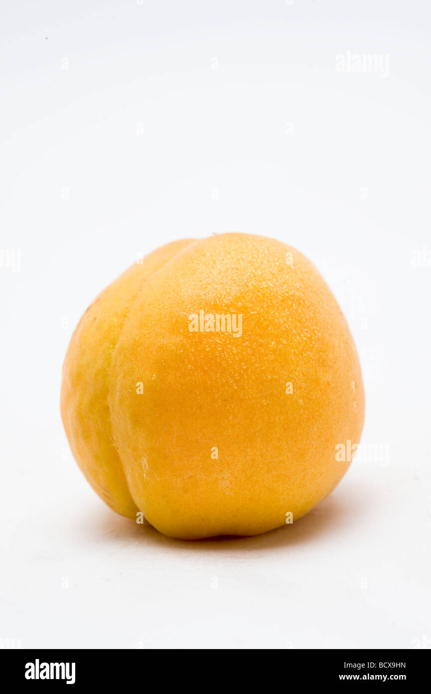 Cutout of a fresh ripe Apricot on white background Stock Photo - Alamy