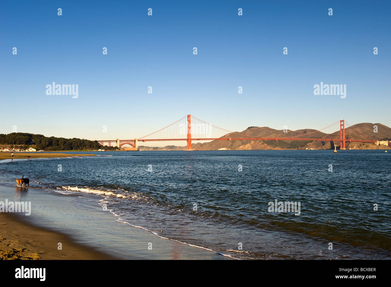 Usa California San Francisco Golden Gate Bridge and Presidio Beach Park Stock Photo