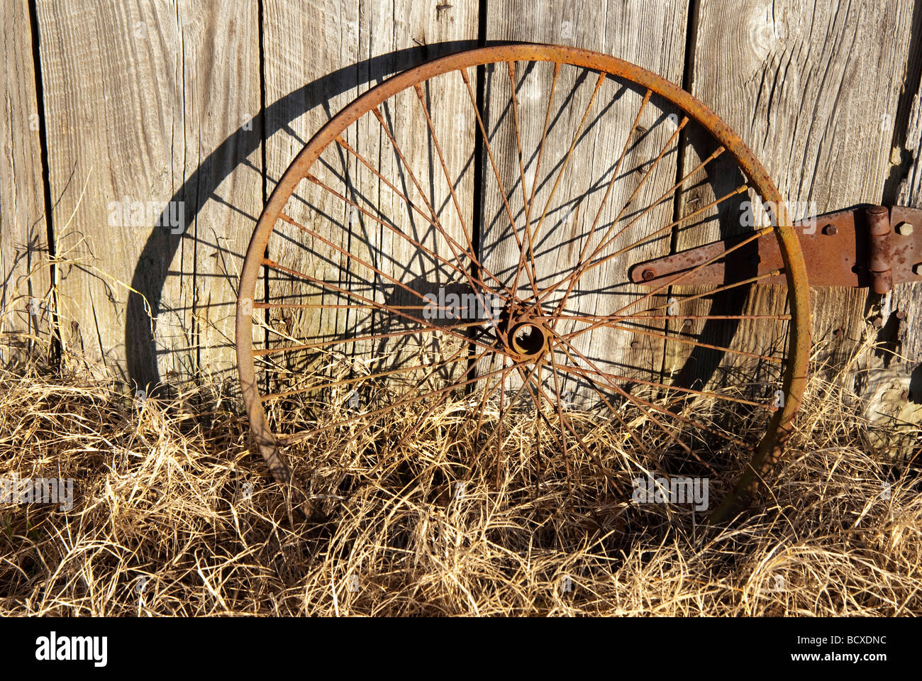 antique bike wheel