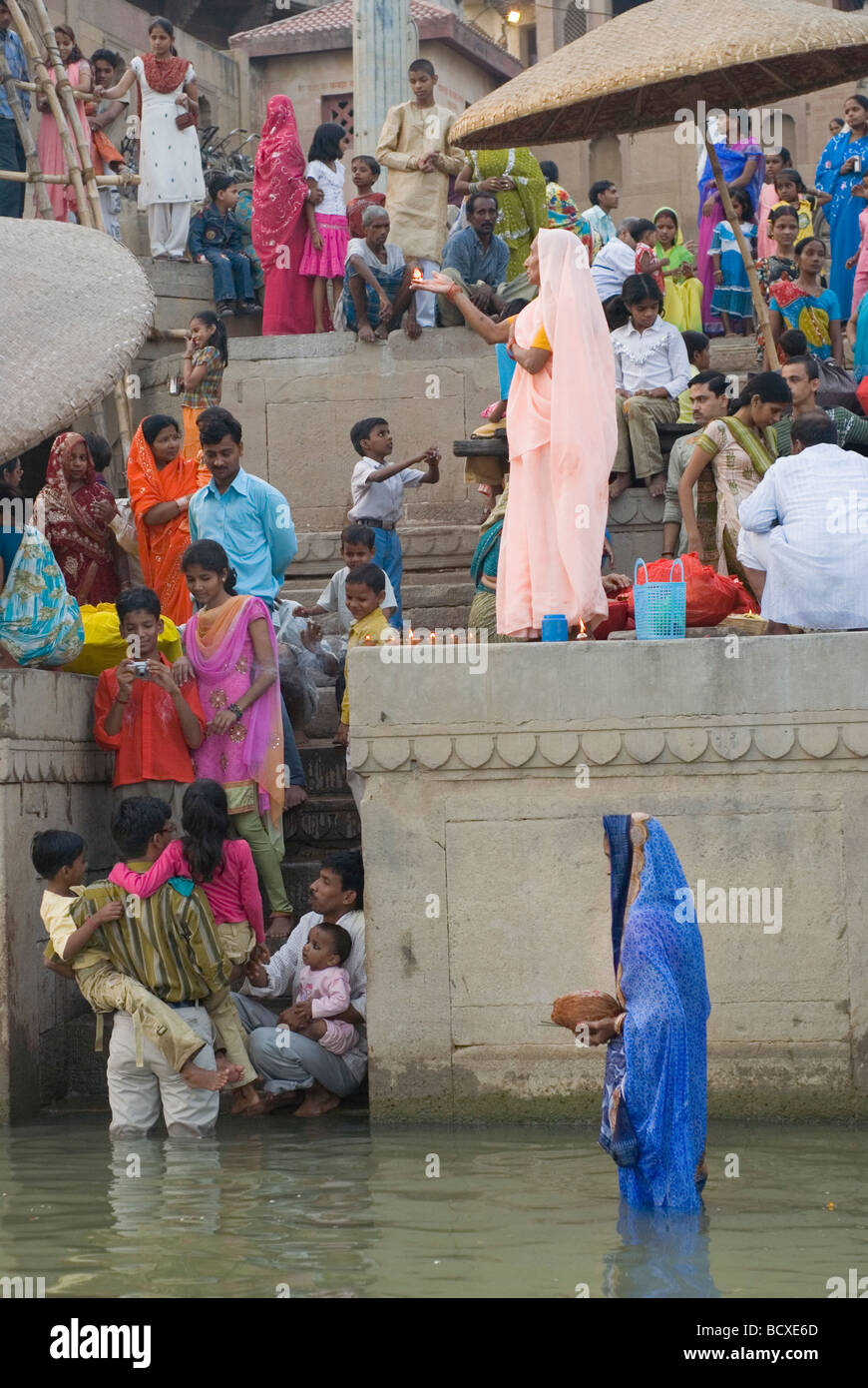 Cow in Varanasi, India Stock Photo - Alamy