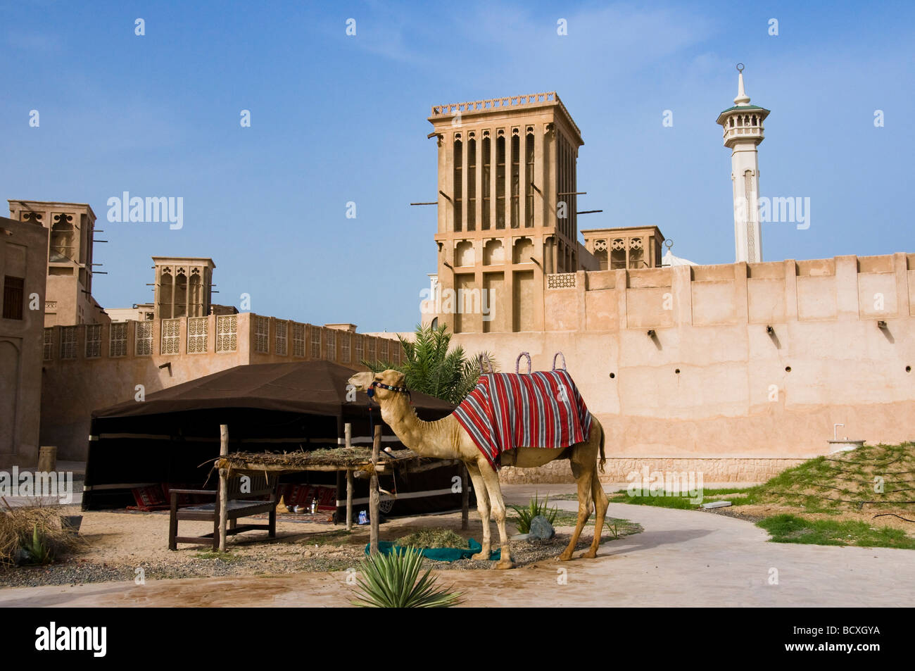 Traditional wind towers, bedouin tent and camel in the historical district of Bastakia Dubai Stock Photo