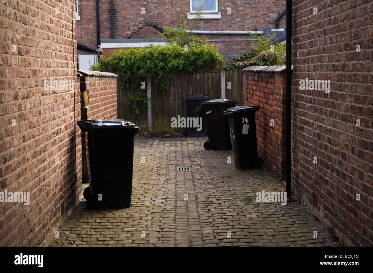 Wheely bins outside in an alleyway Manchester UK Stock Photo Alamy