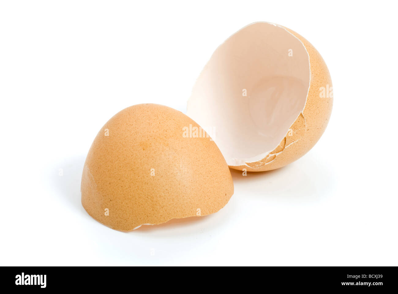 racked hen s egg isolated on white Stock Photo
