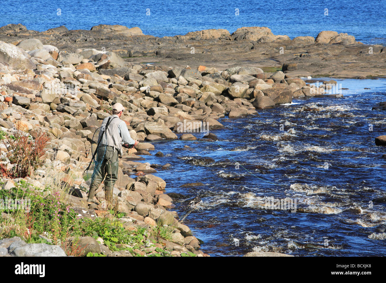Man fly fishing for salmon Ireland Stock Photo Alamy