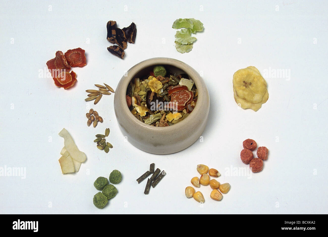 Guinea pig. Food sorted in and around a bowl Stock Photo - Alamy