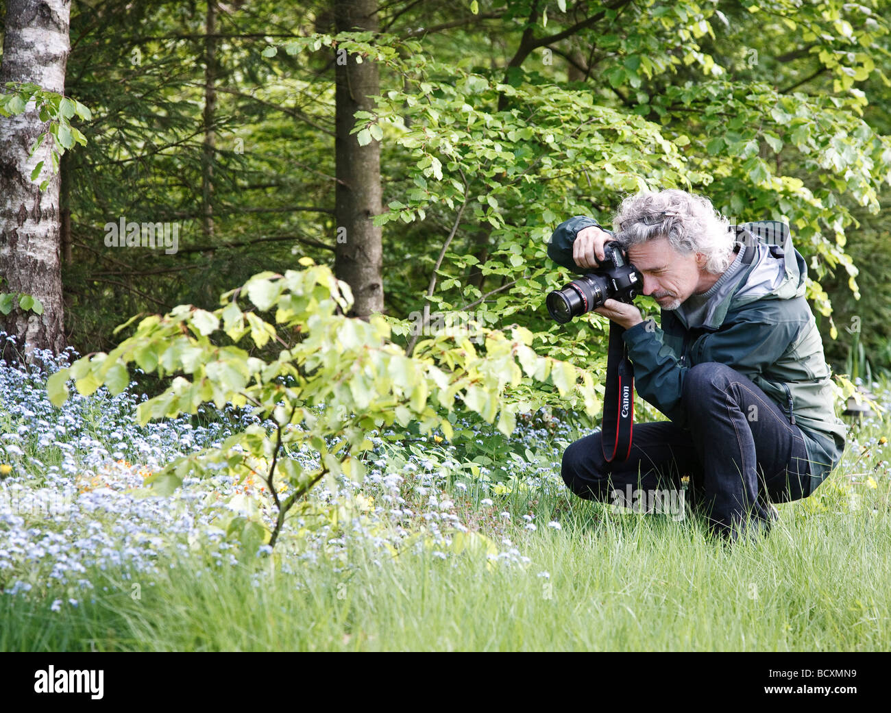 Photographer taking picture of flowers on the ground Stock Photo