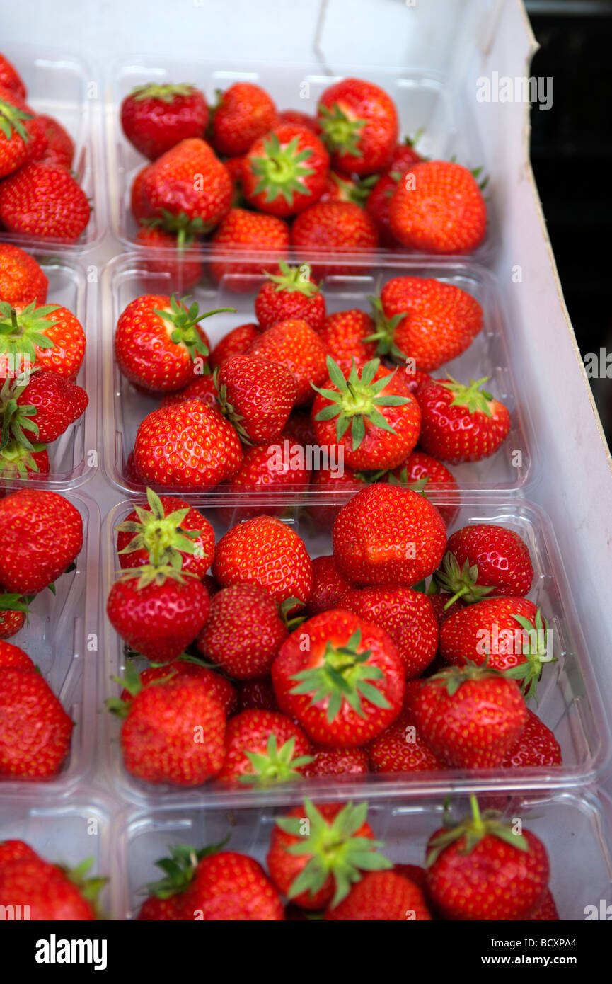 of Strawberries for sale Stock Photo Alamy