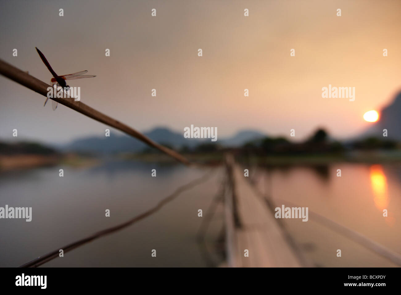 a dragonfly on the bridge over the Nam Song River at Vang Vieng at sunset, Laos Stock Photo