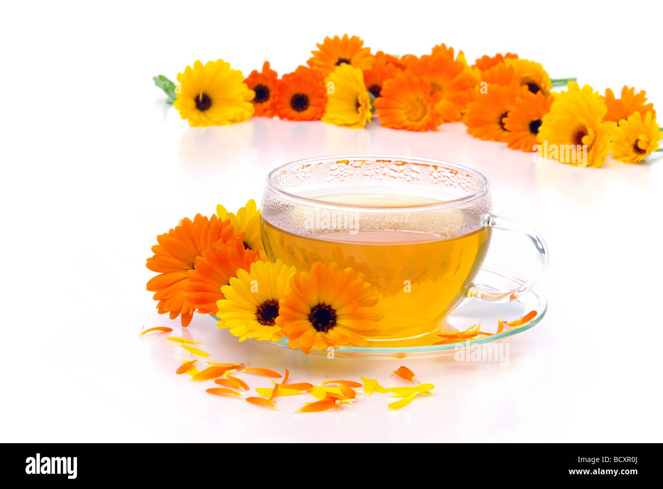 Marigold Tea High Resolution Stock Photography And Images Alamy