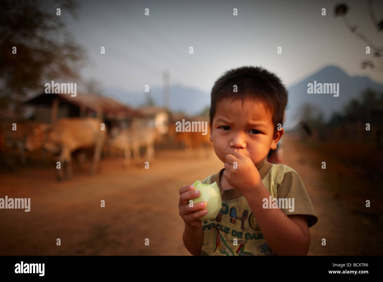 portrait of a boy, Vang Vieng, Laos Stock Photo