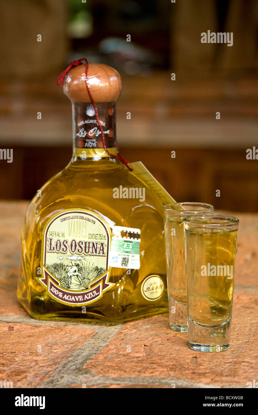 Tequila like drink made at Los Osuna agave distillery, a tequila