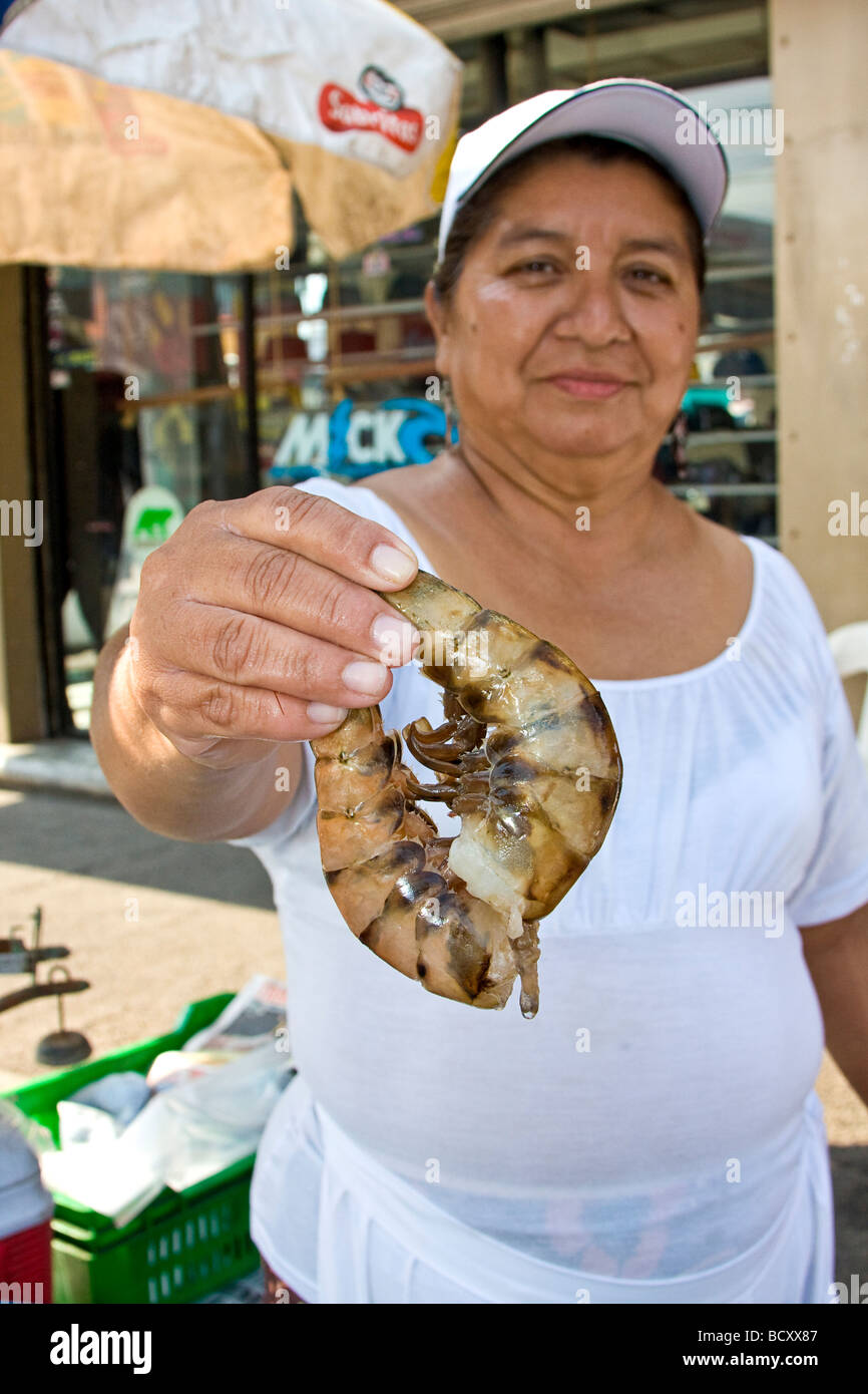 Giant shrimp