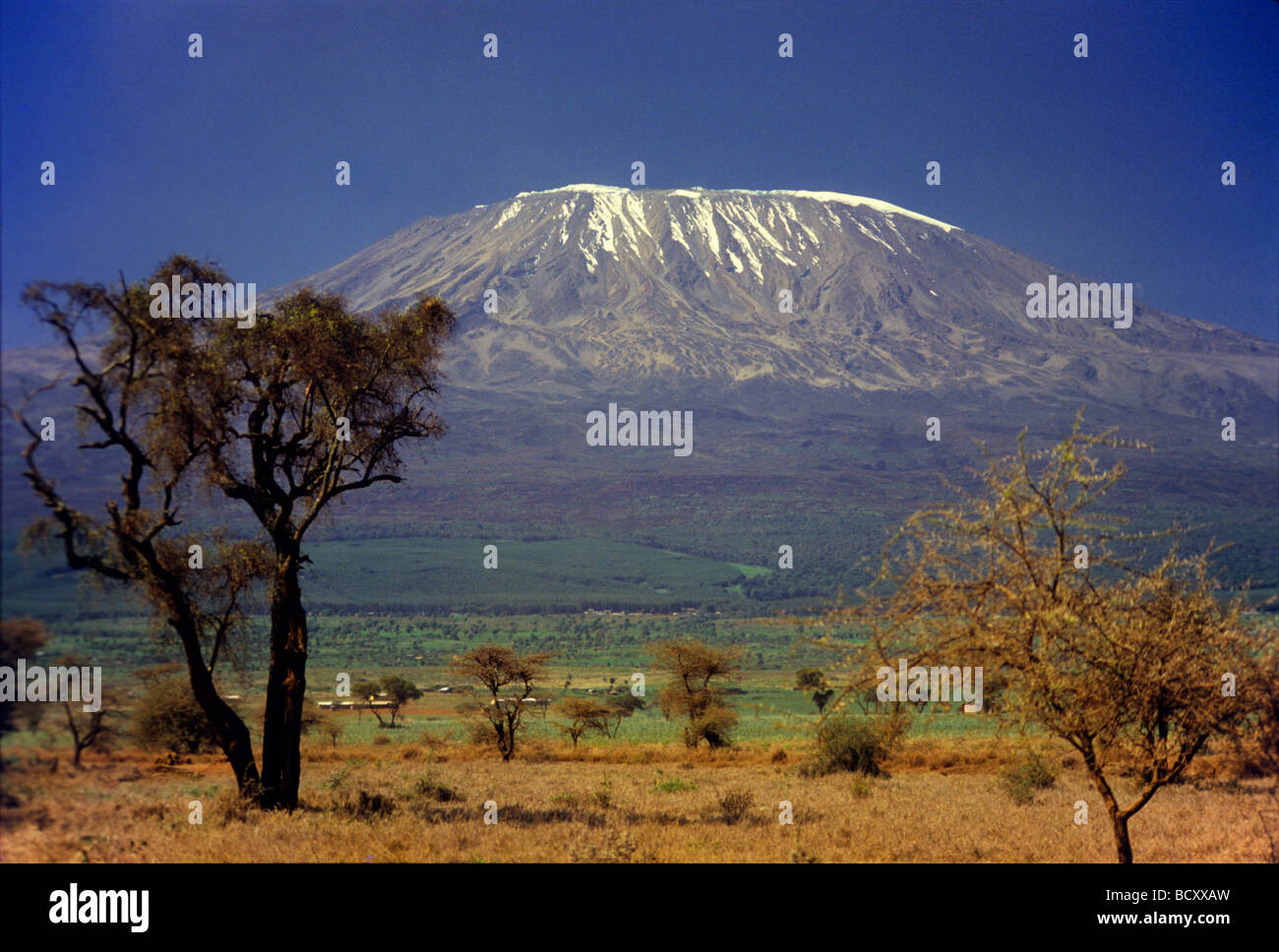 Mt. Kilimanjaro viewed from the Kenya side Stock Photo - Alamy