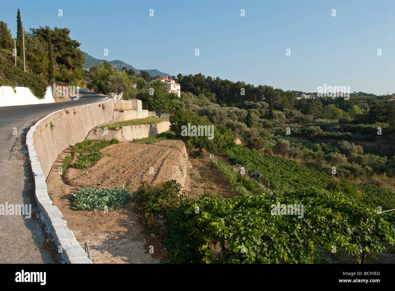 scenes from a greek village on an aegean island Stock Photo