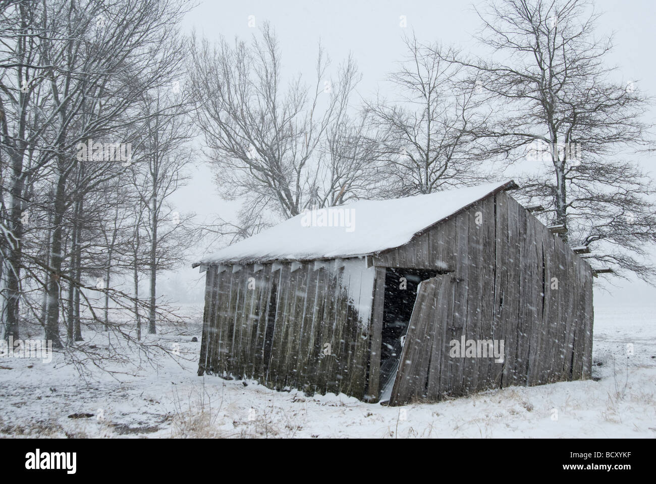 Old Rustic Barn Winter Snow Scene In Arkansas Stock Photo
