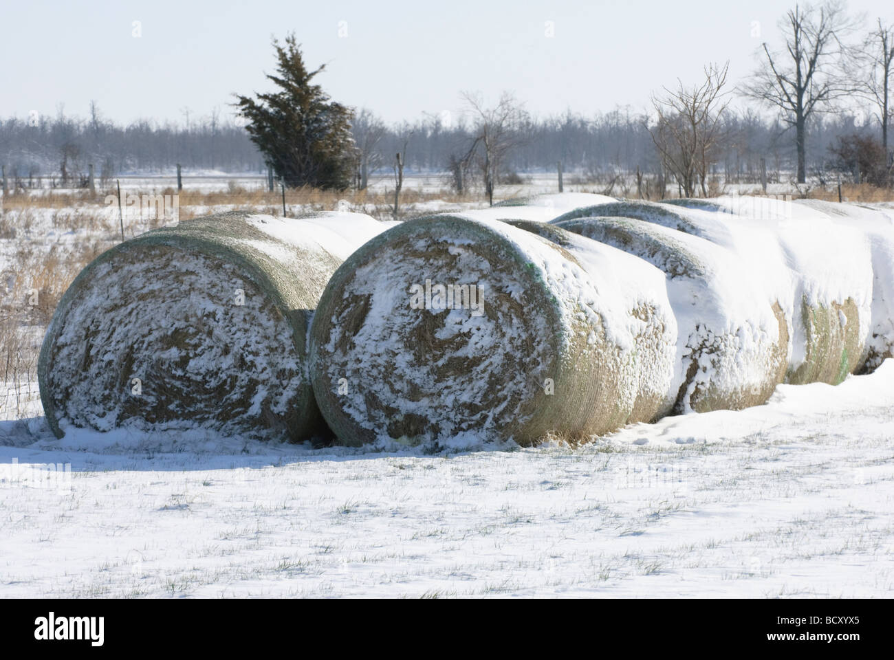 Snow covered hay bales in Northeast Arkansas outside of Walnut Ridge