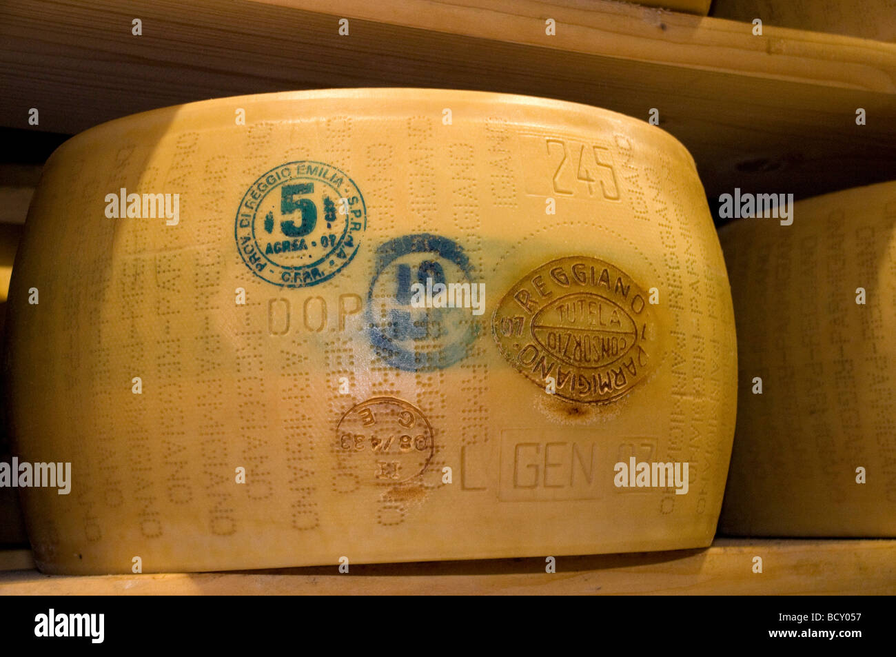 hundreds of different varieties of parmigiano reggiano in the biggest  parmesan cheese storage kinds of cheese ripening. picture of a cheese  factory in Switzerland. Generative AI Stock Illustration