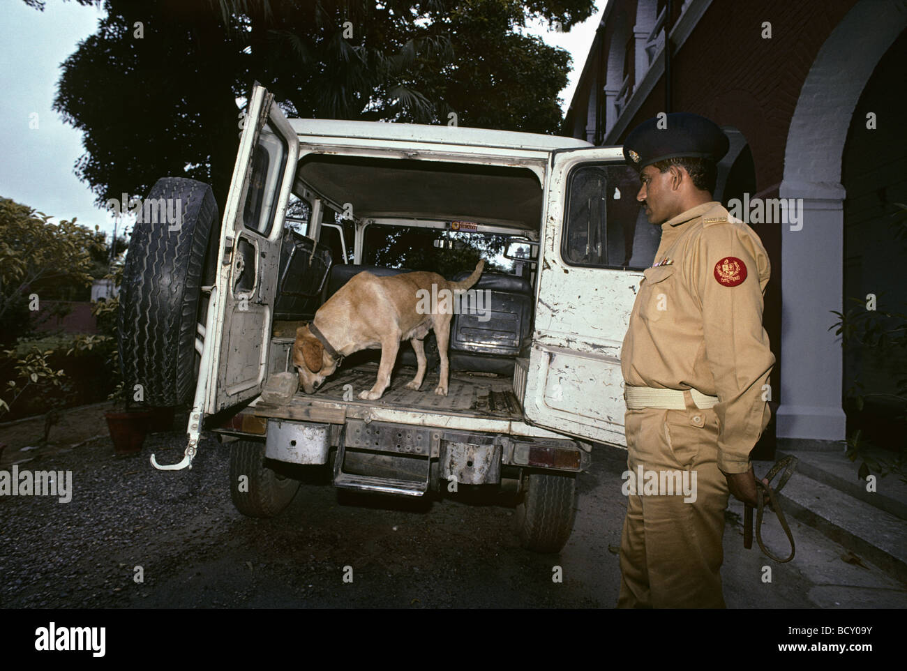 A drug sniffing dog trained by Pakistan's Anti Narcotics Force searches inside a truck Stock Photo