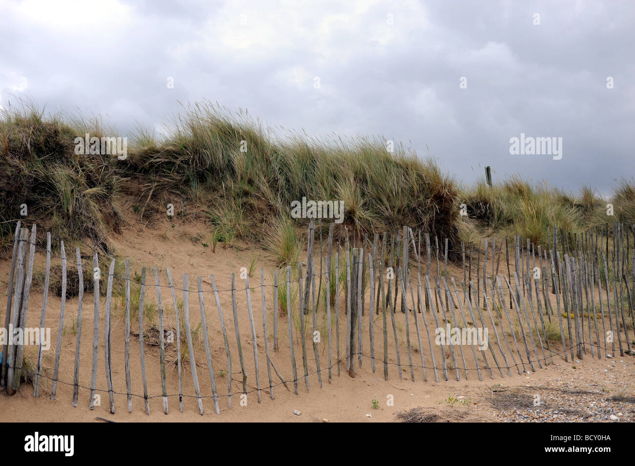 Sand dunes fenced off from the public because of erosion at Blakeney Point on the North Norfolk coast UK Stock Photo