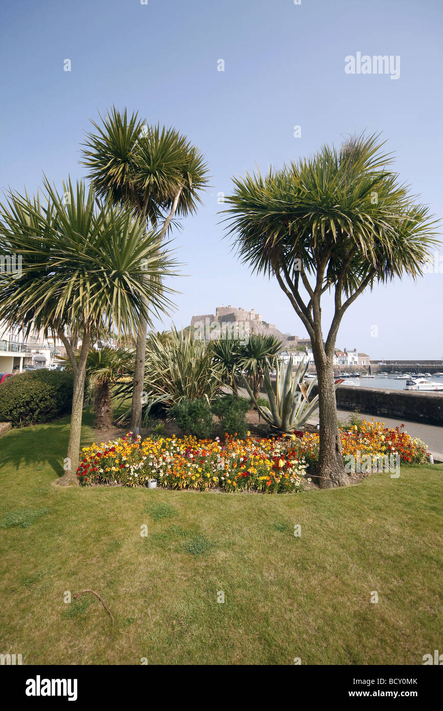 PALM TREES MONT ORGUEIL CASTLE JERSEY CHANNEL ISLANDS UK GOREY JERSEY CHANNEL ISLANDS 20 April