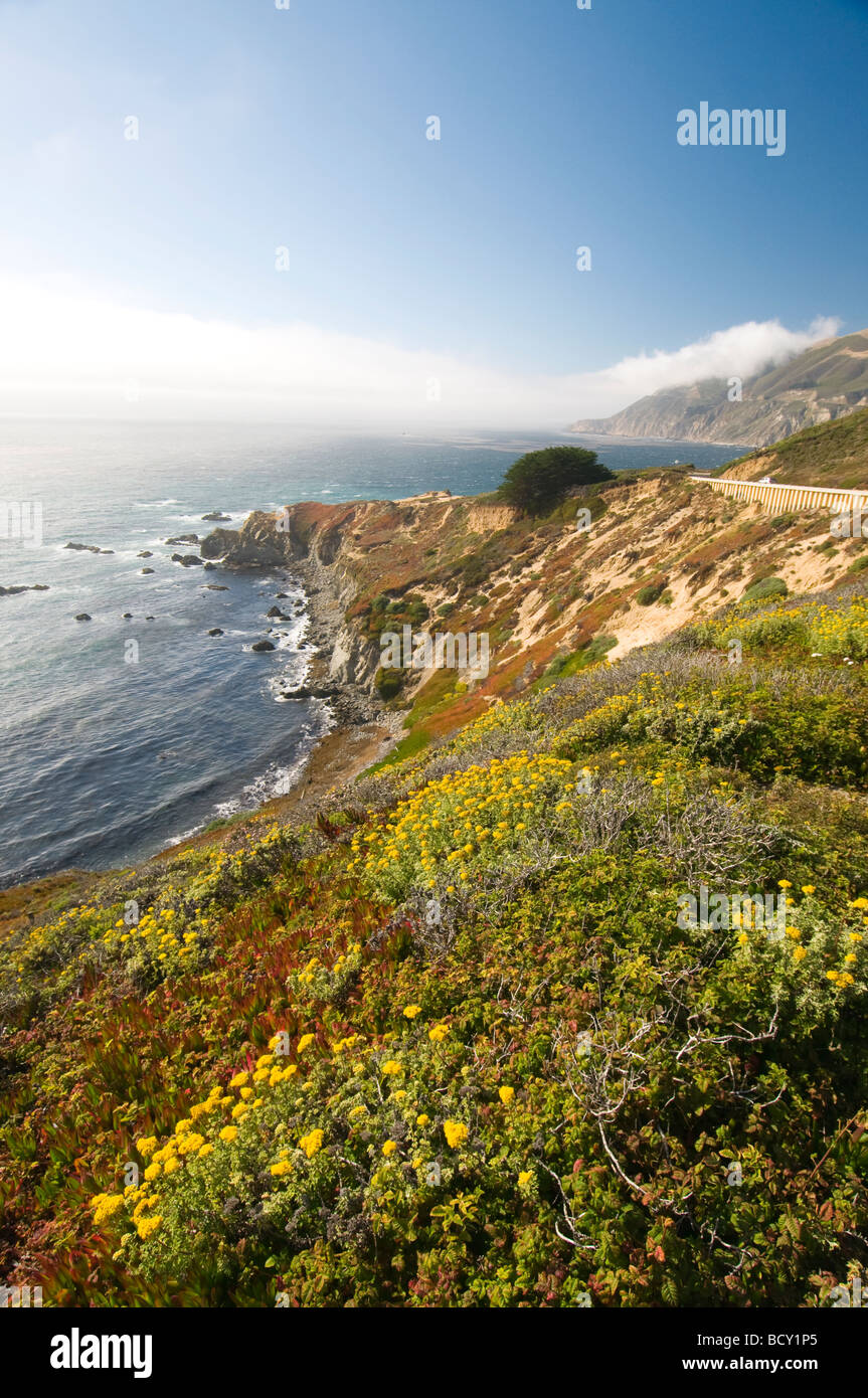 California Pacific coast highway Big Sur Stock Photo - Alamy