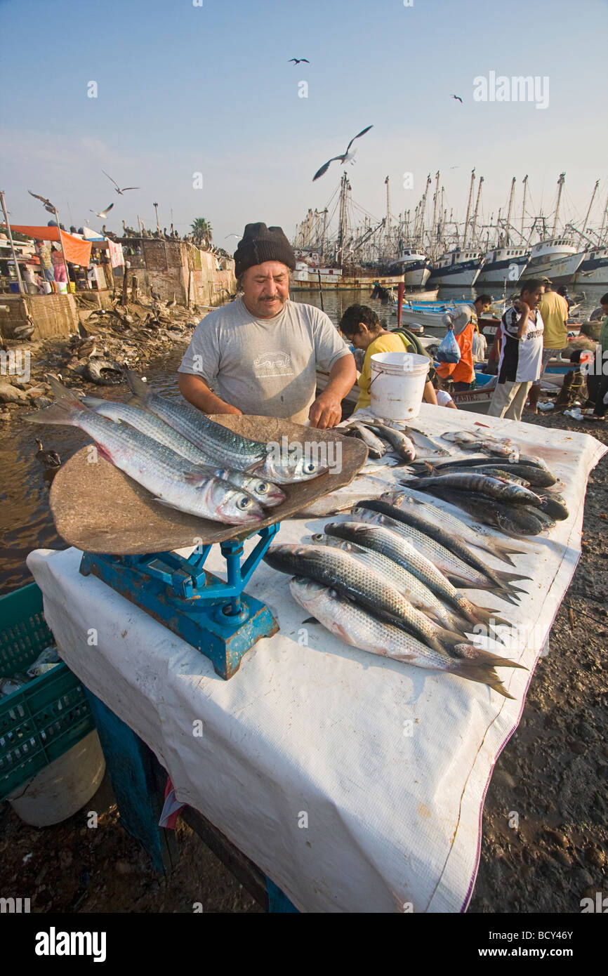 Lisa fish hires stock photography and images Alamy