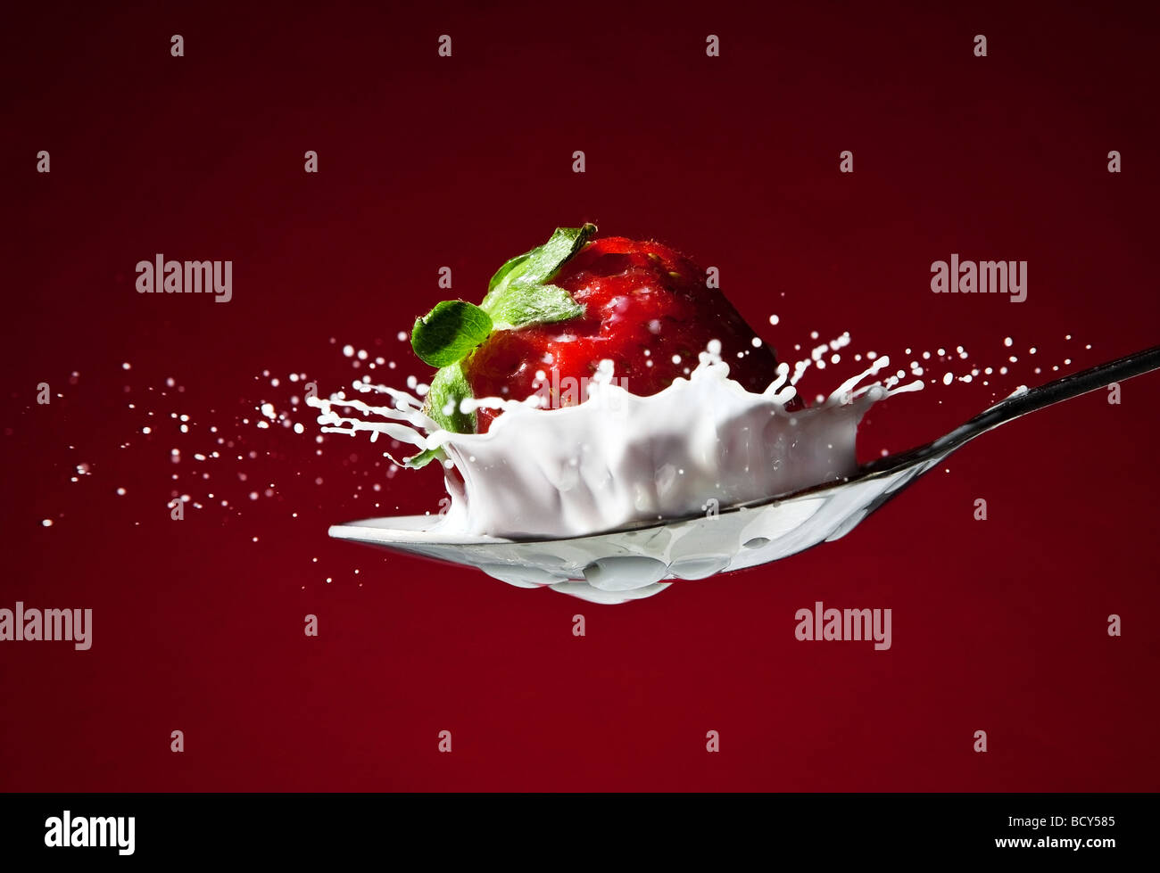 Splashing Spoon Delicious strawberry over a red background splashing into a spoon with ...