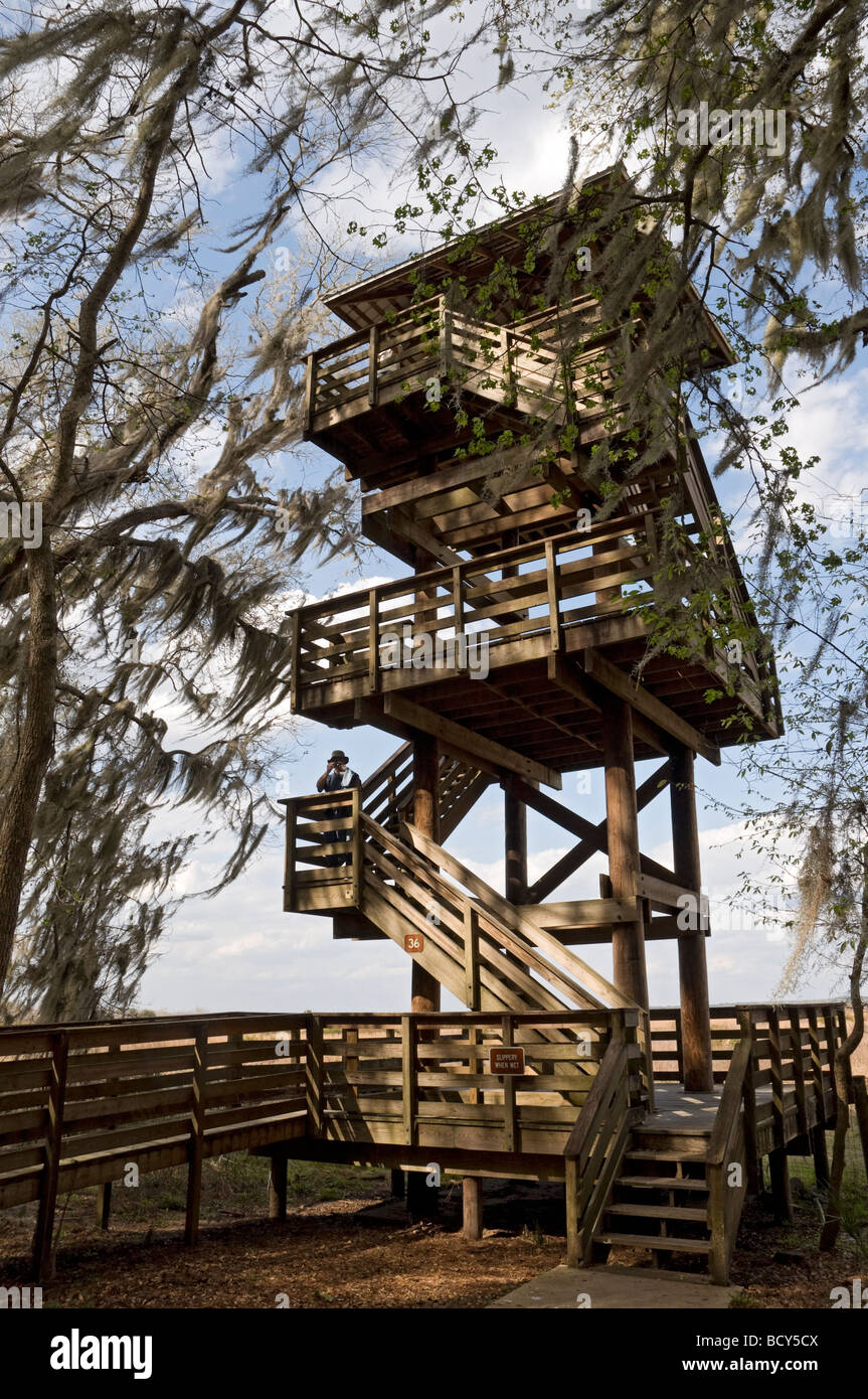 wildlife observation tower Paynes Prairie Preserve State Park Micanopy Florida Stock Photo