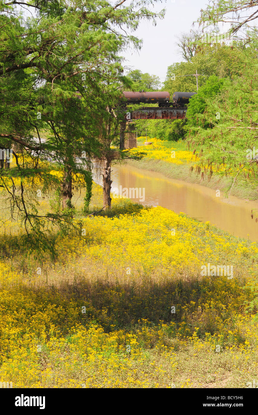 Sunflower river hires stock photography and images Alamy