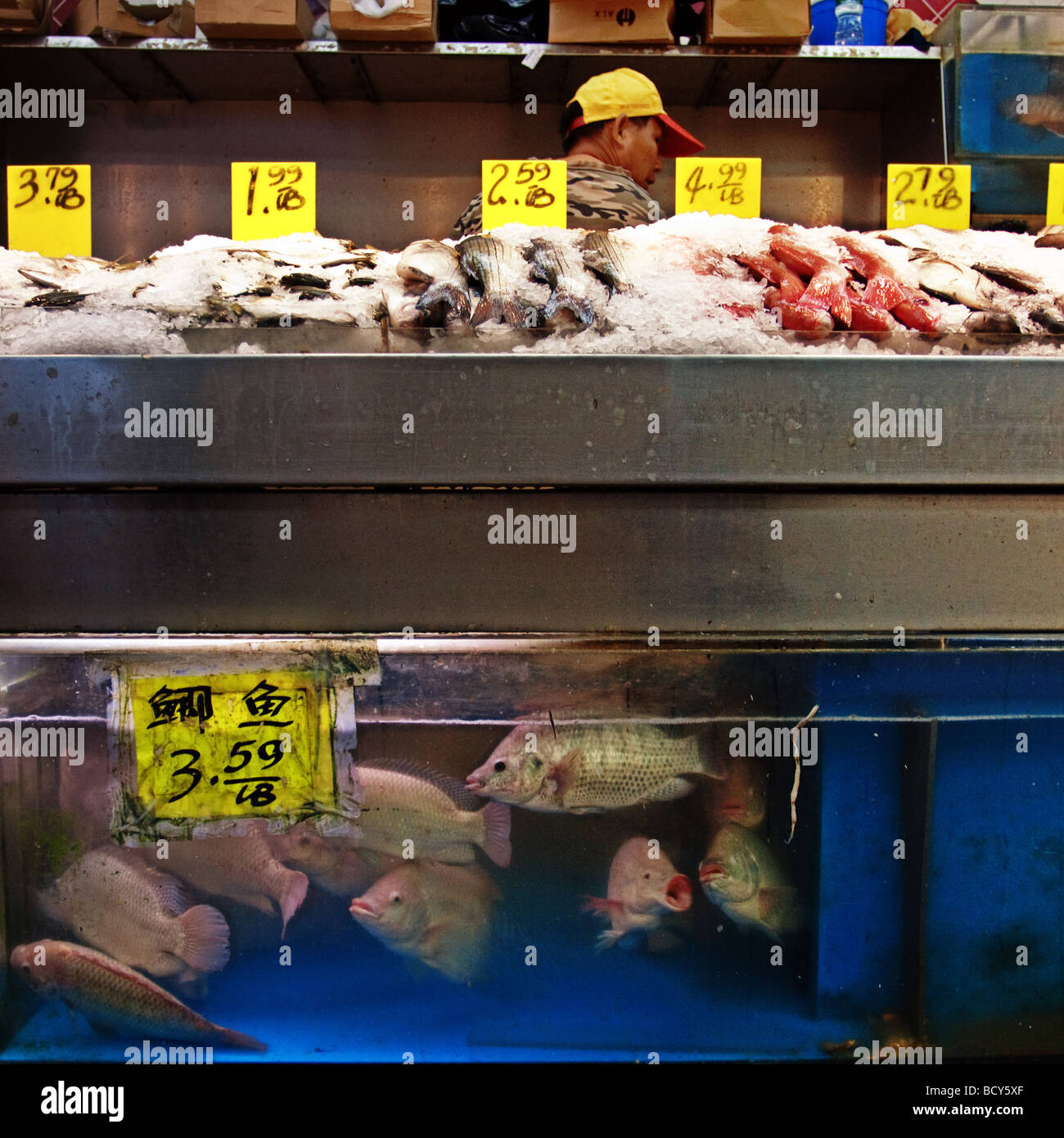 Chinatown in New York. Fish shop Stock Photo Alamy