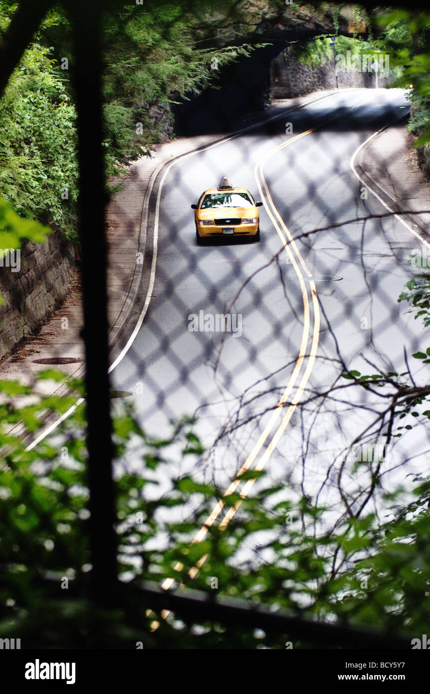 Yellow cab on the road in central park new york. Stock Photo