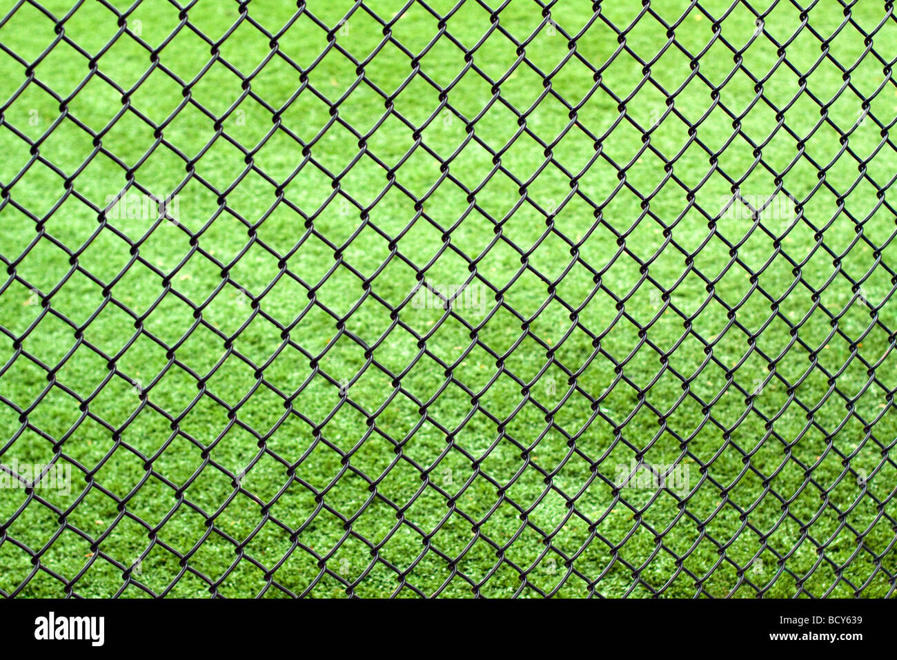 Metal fence, green gras in background. Stock Photo