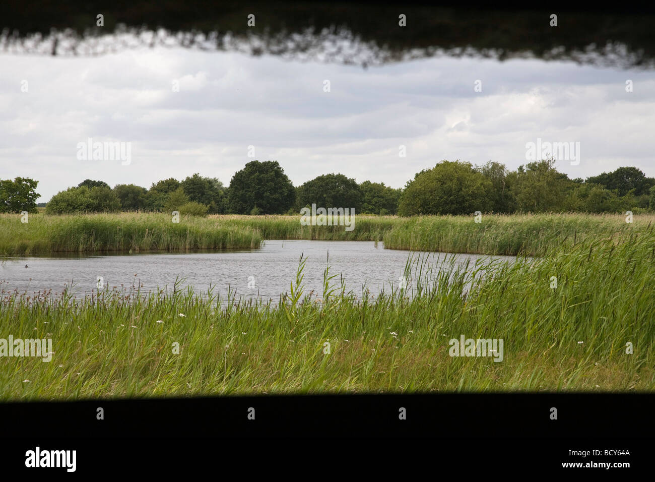 Norfolk Broads wetland wildlife sanctuary. Looking out of a hide. Stock Photo
