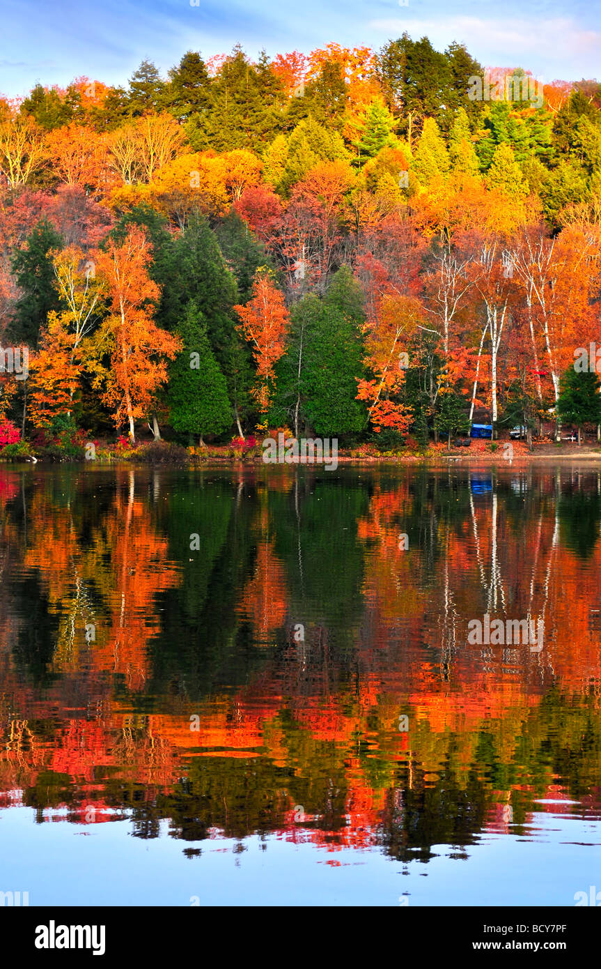 Ripples reflect hi-res stock photography and images - Alamy