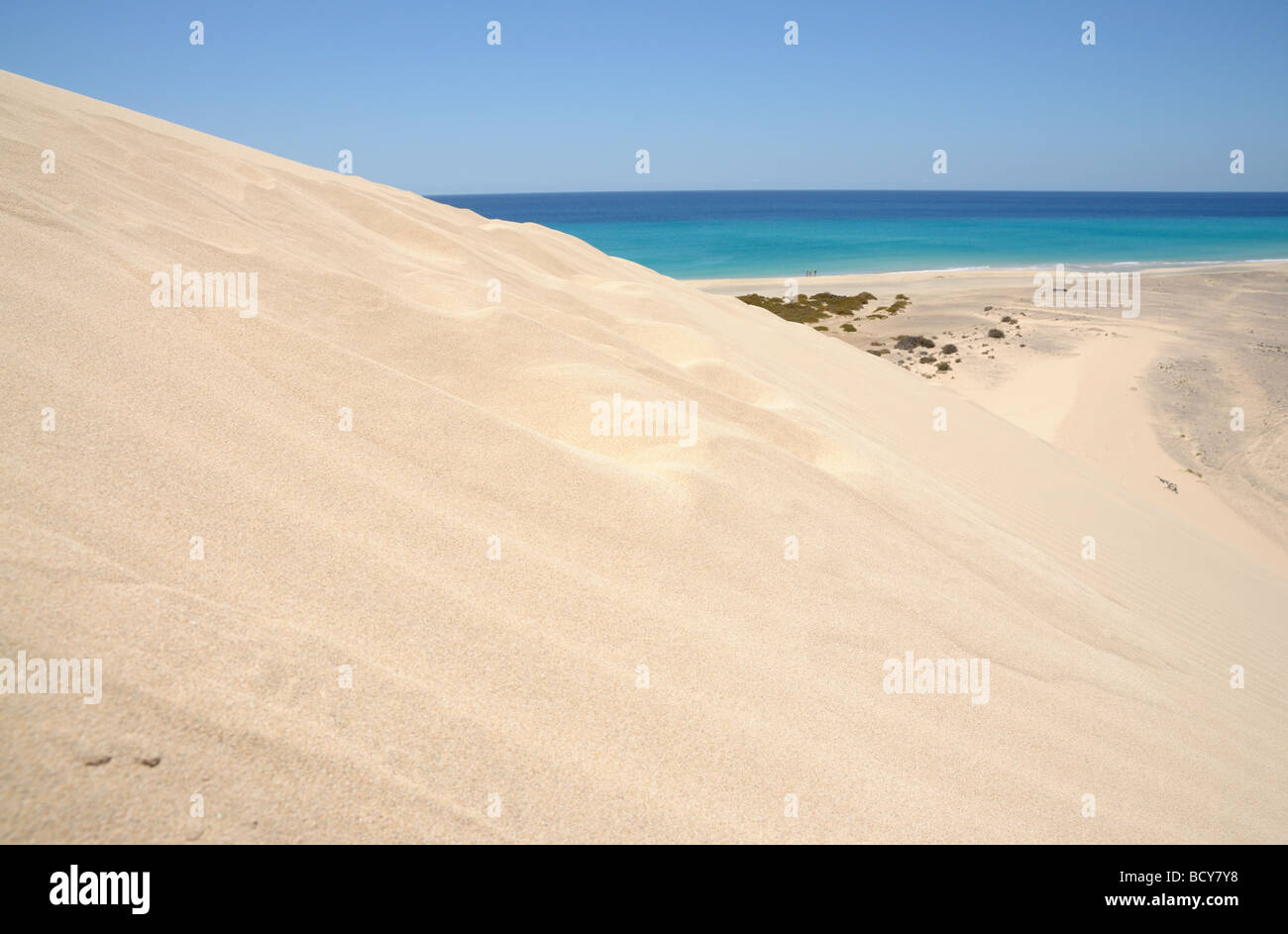 Sand Dune near Playa de Sotavento, Canary Island Fuerteventura, Spain Stock Photo
