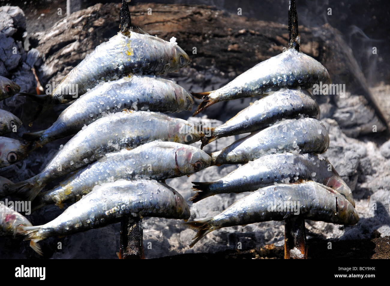 Grilled sardines, Playa Puerto Banus, Puerto Banus, Costa del Sol, Malaga Province, Andalusia, Spain Stock Photo