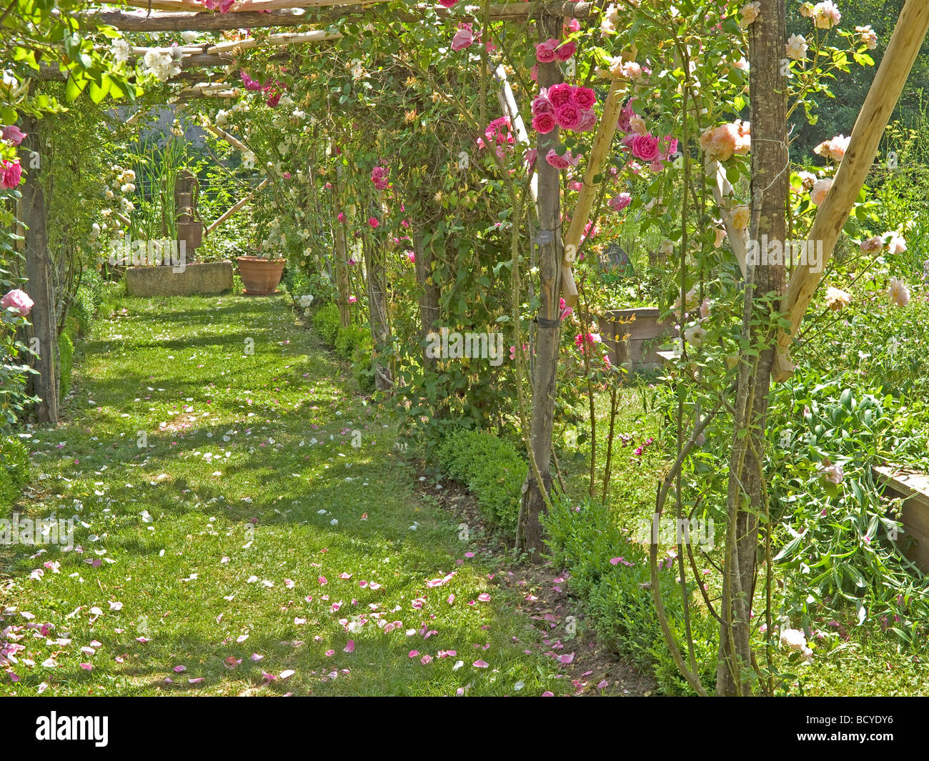 little garden with bloom and blossom in background a water pump in Castelfranc in France Stock Photo