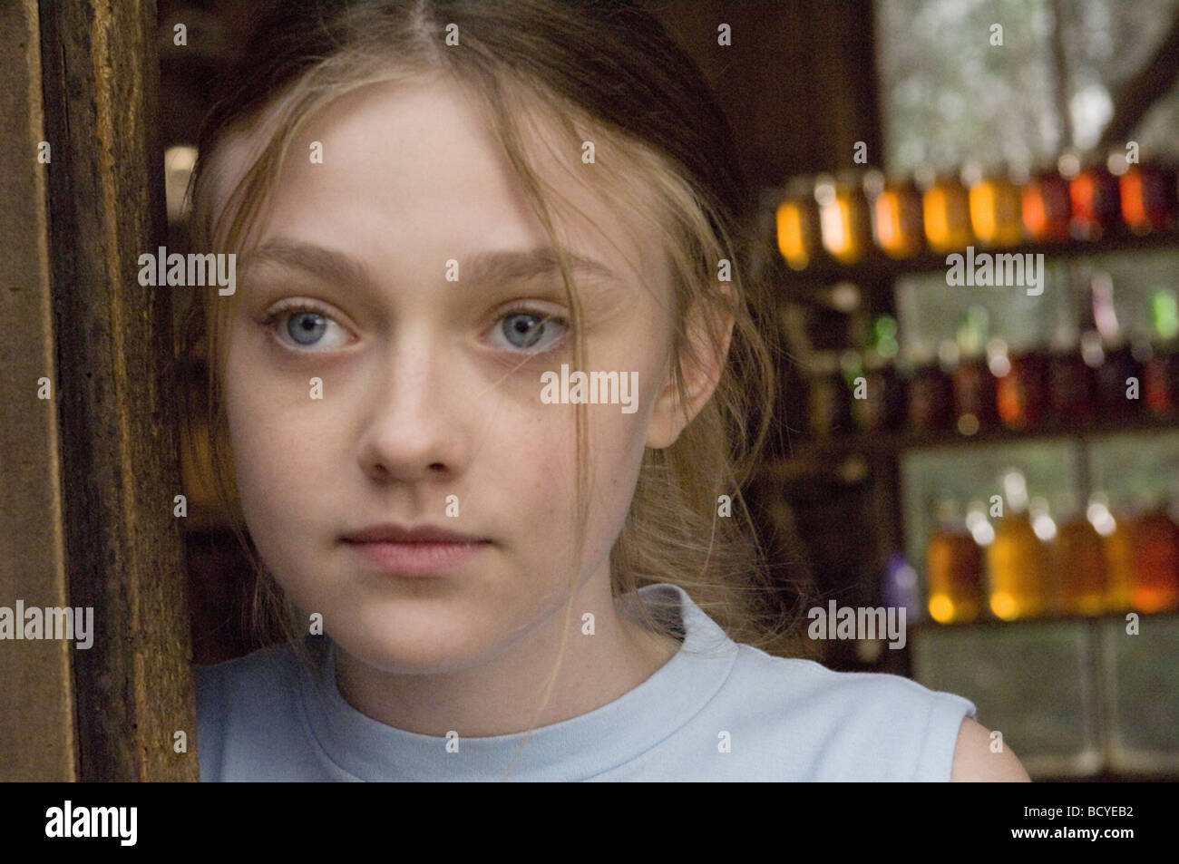 The Secret Life of Bees  Year: 2008  Director : Gina Prince-Bythewood  Dakota Fanning Stock Photo