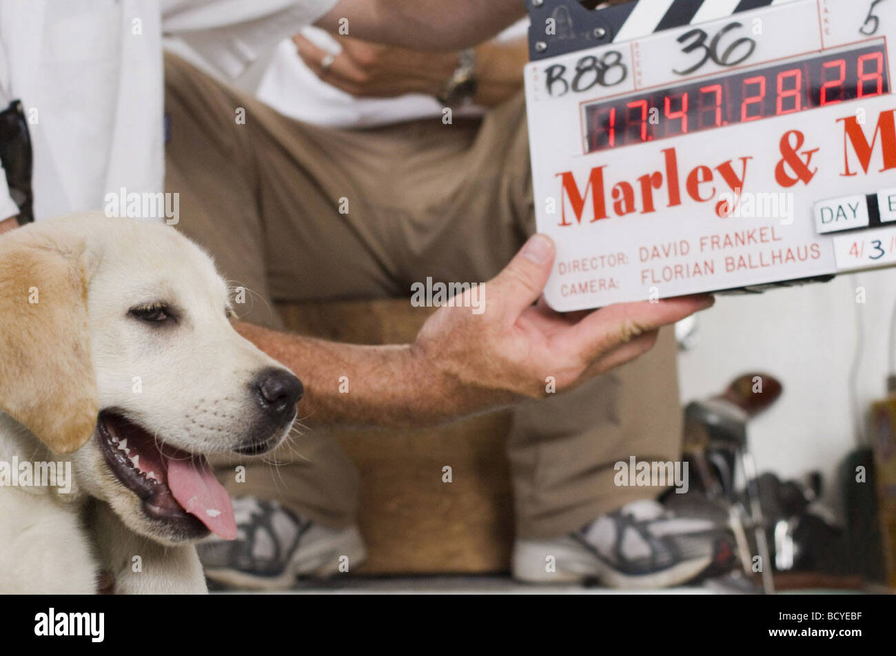 Marley and me  Year : 2008  Director : David Frankel  Shooting picture Stock Photo