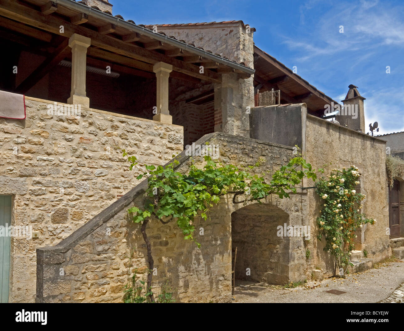 old stony house with grapevines and white roses in Castelfranc in France Stock Photo