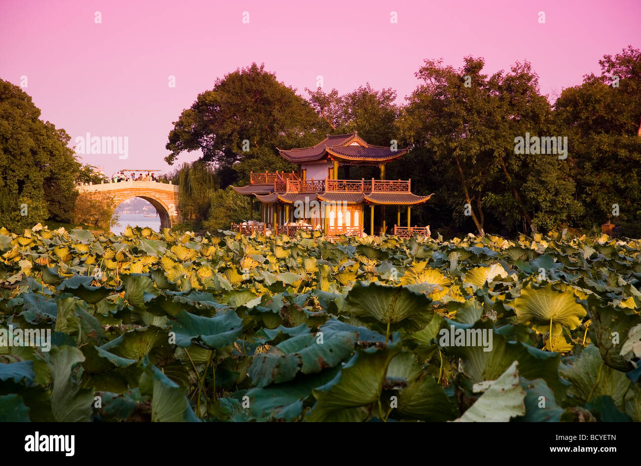 Ханчжоу китай. Китай Сучжоу Ханчжоу. Hangzhou Westlake. Сады Ханчжоу. Город Ханчжоу природа.