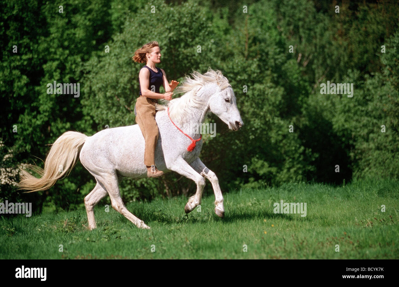 woman riding on horse without saddle Stock Photo